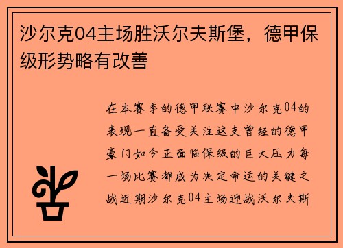 沙尔克04主场胜沃尔夫斯堡，德甲保级形势略有改善